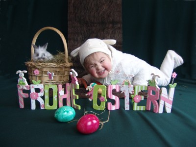 oster.jpg