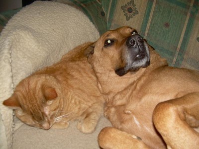 megaweiches kopfkissen ....*freu*