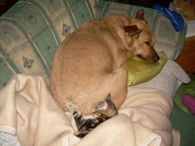 dina ..jetzt bloß nicht puuuupen....*panik*