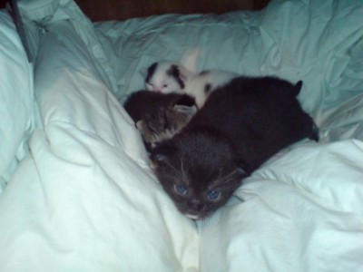 DSC00001.JPG
