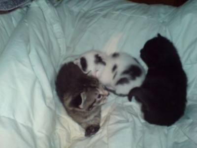 DSC00002.JPG