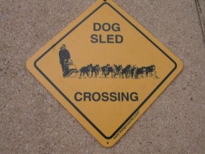 Dog sled.jpg