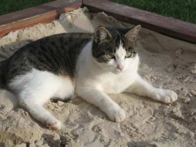 Sandkasten ist doch was tolles.jpg