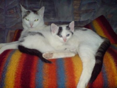 DSC00054.JPG
