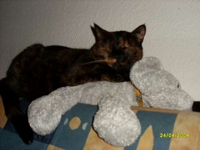 meine maus2.jpg