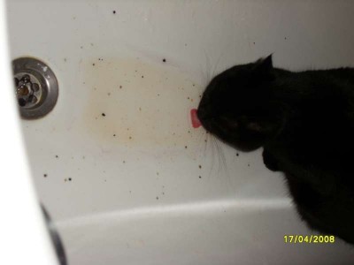 badewanne.jpg