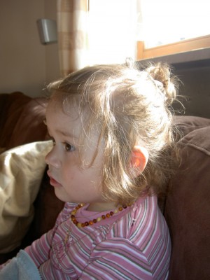 PICT8737.jpg