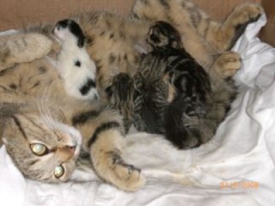 k-Bilder ab Mai 2008 049.jpg