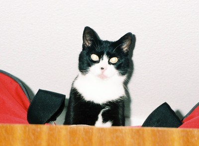 09.JPG