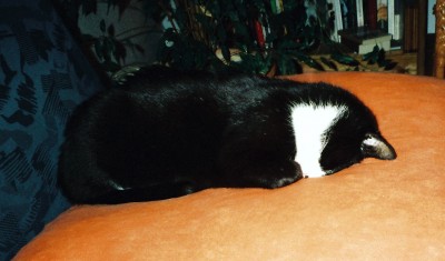 04.JPG