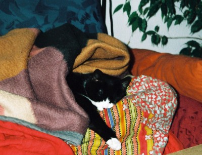 03.JPG