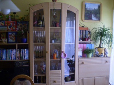 nochmals die Schrankwand aber etwas detailierter