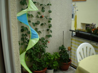 unser Balkon
