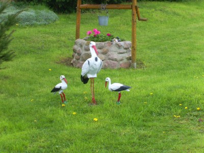 paddeln 2008  für krümel.jpg