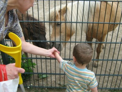 Tobi füttert die Pony trotzdem nach der Nuckelattake weiter, ...keine Angst das Kind!