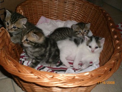 k-Bilder ab Mai 2008 263.jpg