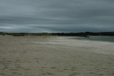 DSC_0387.JPG