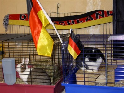 EM 2008.JPG