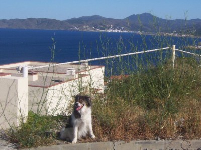 Sam und Blick auf unsere Bucht.jpg