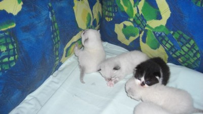 06.07.08-03.jpg