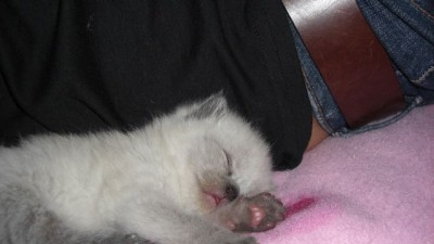 07.07.08-03.jpg