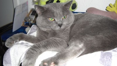 07.07.08- Eliot.jpg