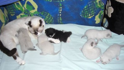 06.07.08-09.jpg