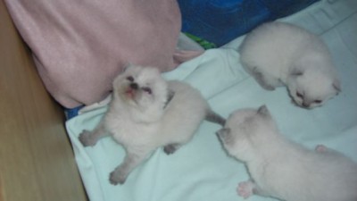 06.07.08-06.jpg