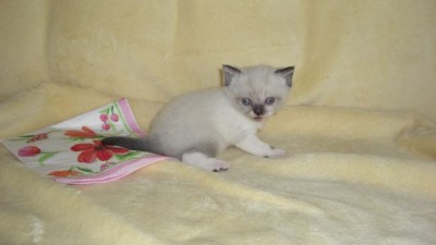 Berlius-14.07.08.jpg