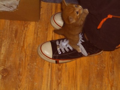 ich  schaff das !!!!