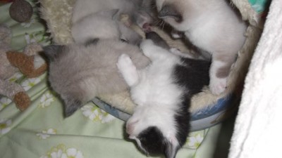 Hey, man kann sich die Welt auch über Kopf angucken !.jpg