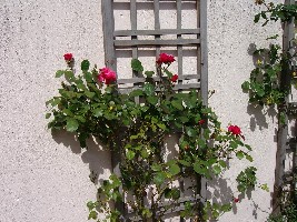 an der Garagenwand