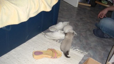 6. Liesel und die Schuhe.jpg