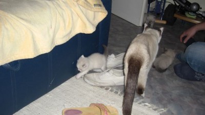 8. Liesel und die Schuhe.jpg