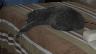 Eine Massage bitte.jpg