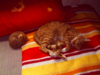 ach ist das gemütlich