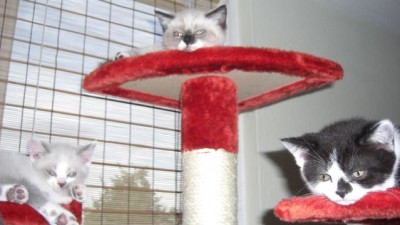 Jeder hat sein Plätzchen.jpg