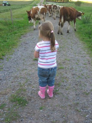 Lena und Kälbchen.jpg