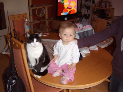 H und B004.JPG