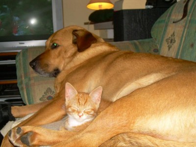 dina & zwerg.jpg