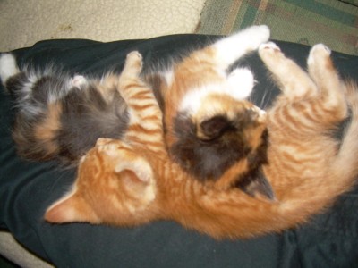 bequemes schlafen.jpg