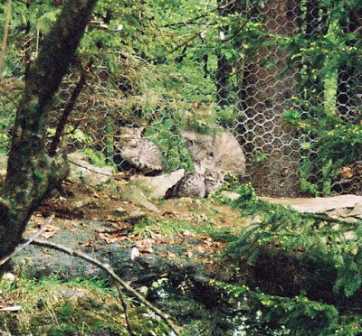 Mama mit zwei Kids