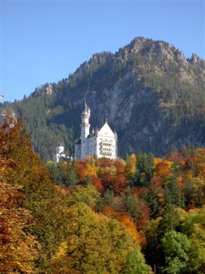 PICT3393.JPG