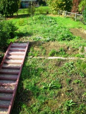 DSCN1628 - Kopie.JPG