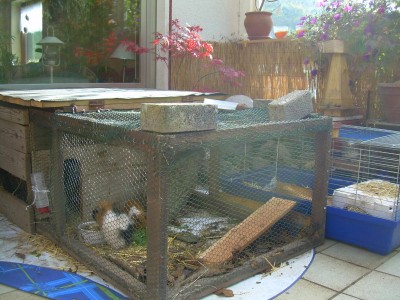 meeris winterunterkunft.jpg