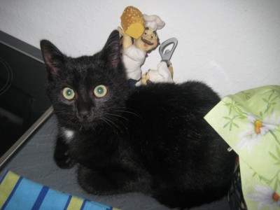 IMG_6822 - Kopie.JPG