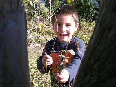 Das herrliche Wetter