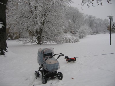 IMG_8584.JPG