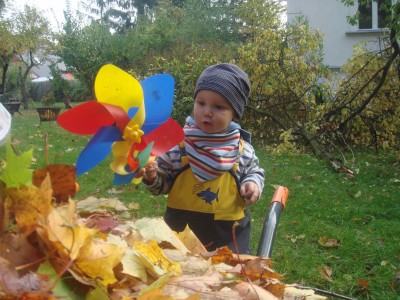herbststurmschäden.jpg