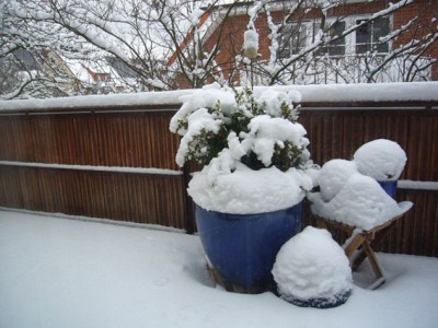 Winter Balkon.jpg
